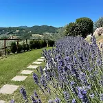 Alloggio per agriturismo Collerisana Spoleto