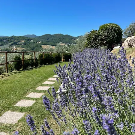 Vakantieboerderij Collerisana Spoleto