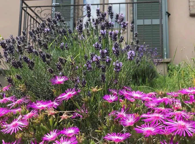 Collerisana * Spoleto